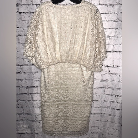 Melissa Odabash Dru Lace Dress 10 Large Cruise Cover Up Taylor Swift Fearless - Picture 5 of 8